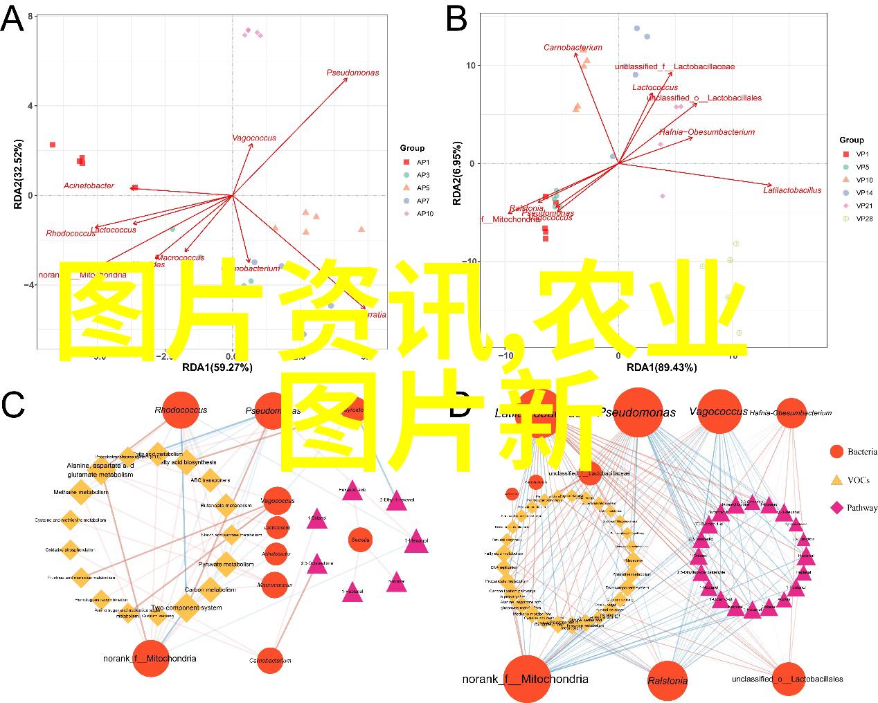 用户体验UX设计师让产品更人性化的创新者