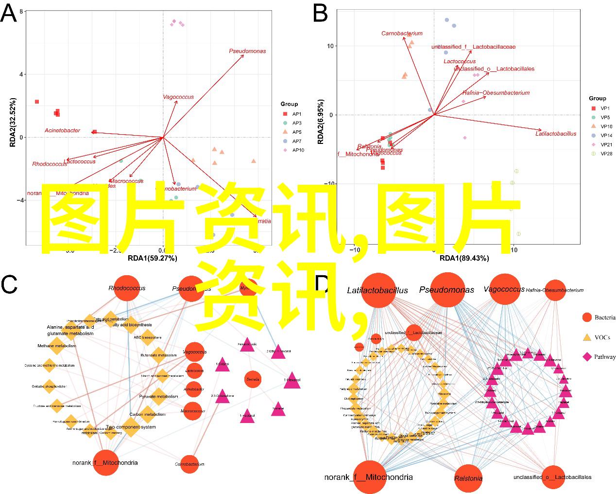 鳝鱼繁育技术精准控制孵化和成熟过程