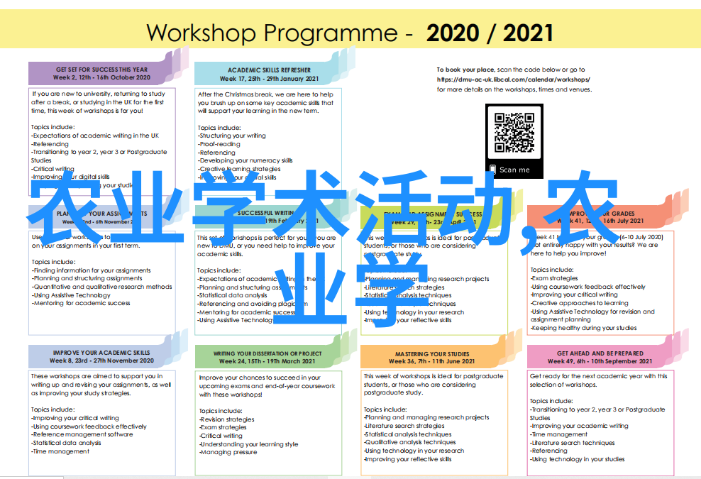 高效现代化的家禽养殖方法提高柴鸡生产力的关键技术和管理策略高效现代化的家禽养殖方法