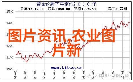 18公分天竺桂的市场价位分析