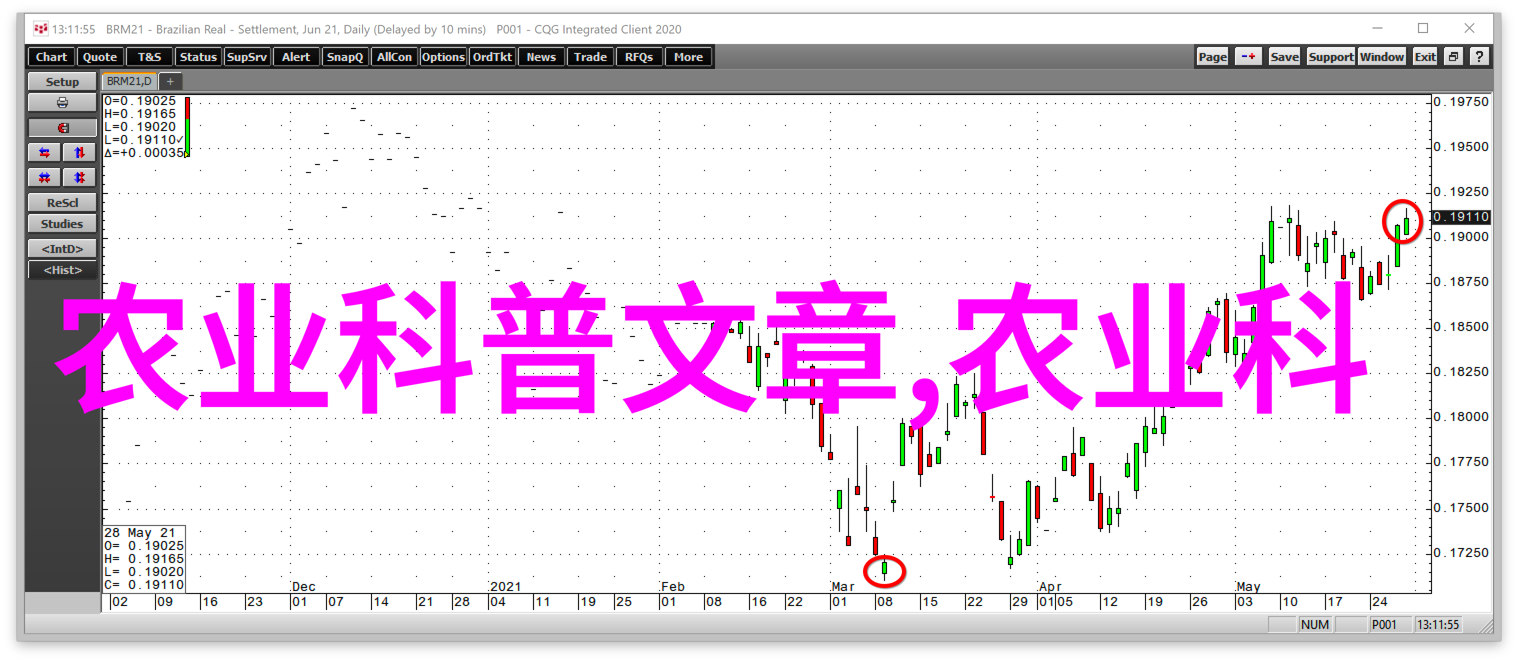 绿色农业牛蛙养殖技艺的传承与创新