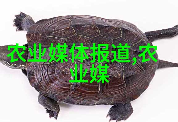 如何预防和处理黄鳝常见疾病