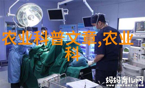 泥鳅黄鳝养殖技艺从泥土深处到水中翱翔的秘笈