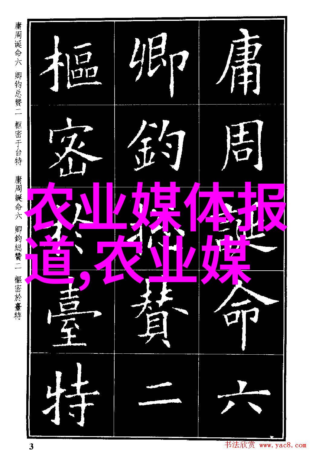 农业之友-守护绿茵探索农业之友的生态保护实践