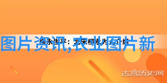 紫叶稠李的秘密价格10公分的香甜与珍贵