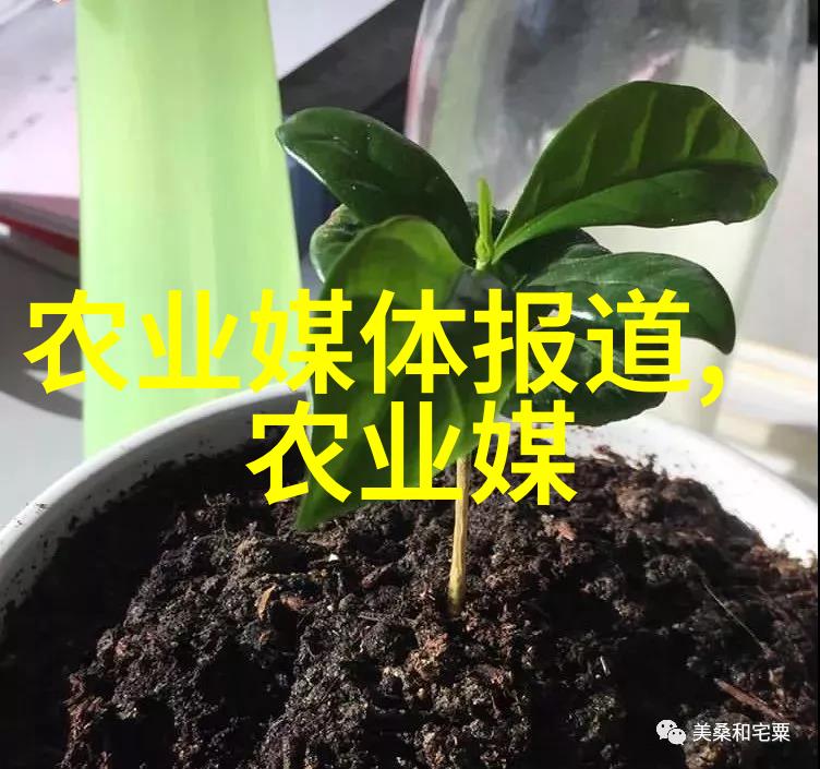 禽类养殖的环境要求为家禽提供舒适的生活环境