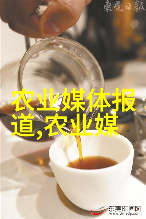 饲养我的小宠物们的日常生活