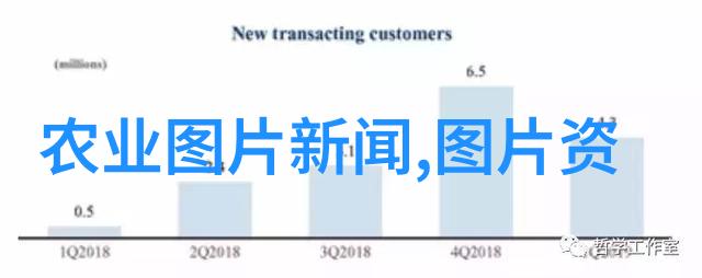 农村没本钱养什么好我是不是该放弃养宠物了