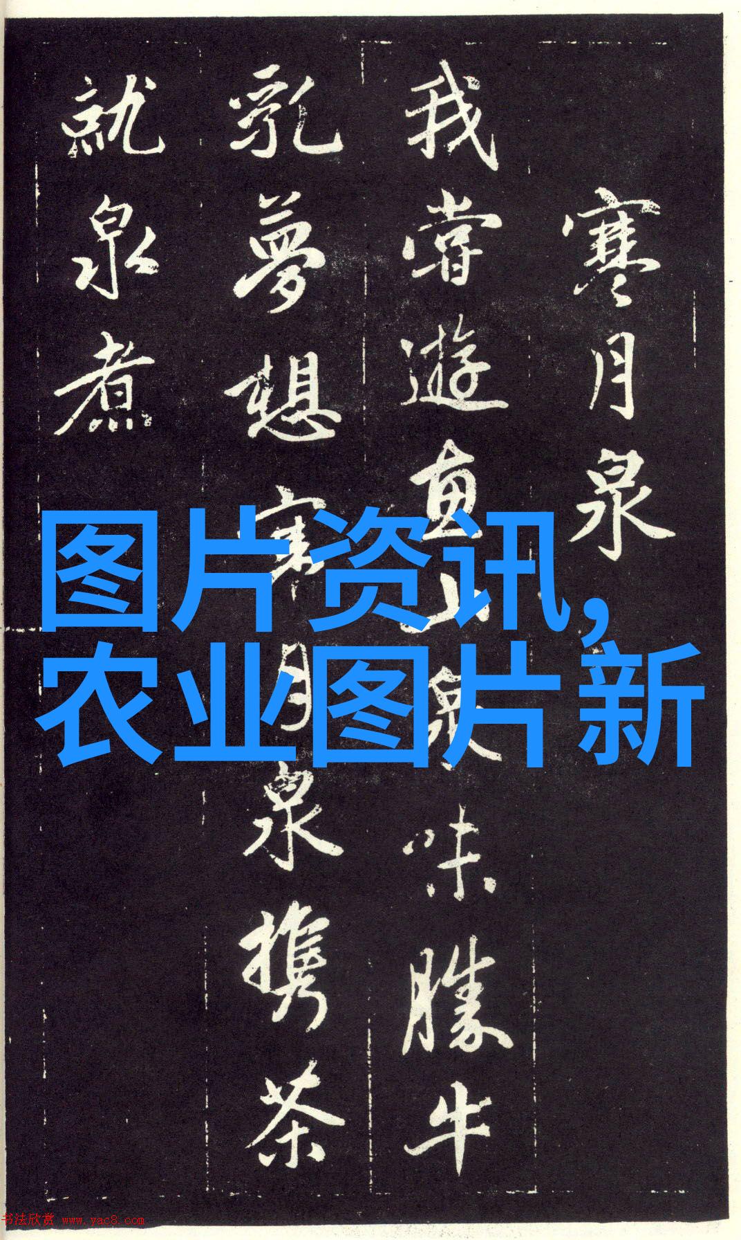 你们一个一个上好痛不用下载抖音短视频内容创作者无需付费下载软件工具的挑战与成长