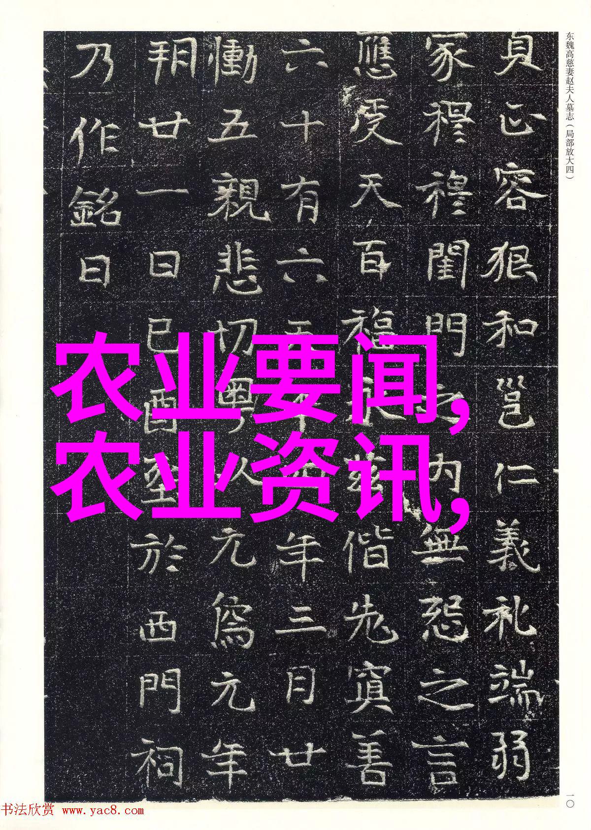 饲料管理-青贮技术在现代养殖业中的应用与创新