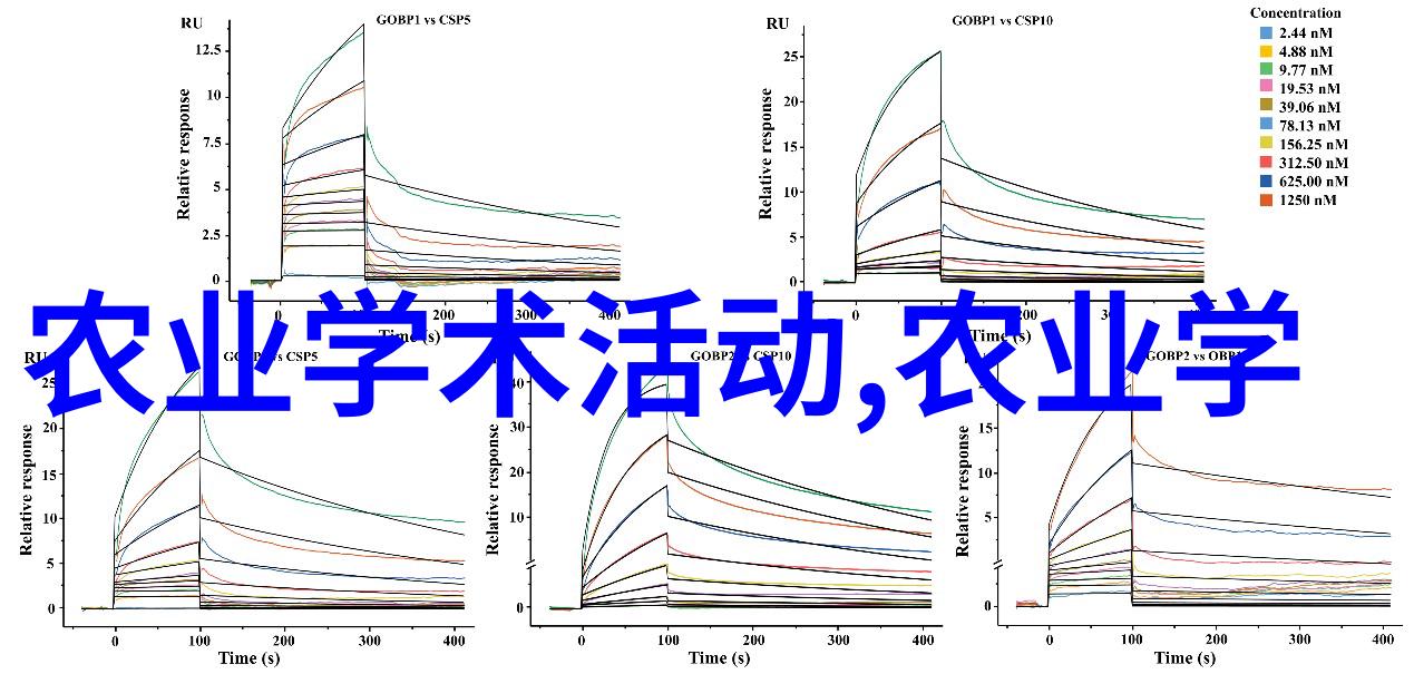 绒毛编织肉兔养殖的艺术与科技