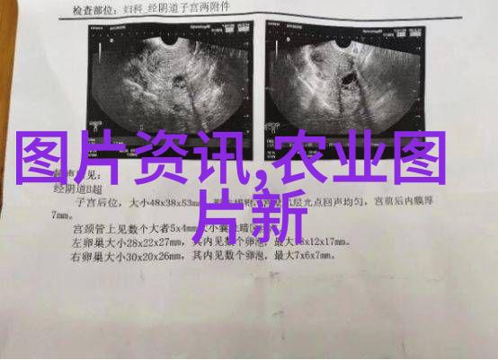 机械工程师资格认证考核体系研究解析专业知识与实践技能的对接机制