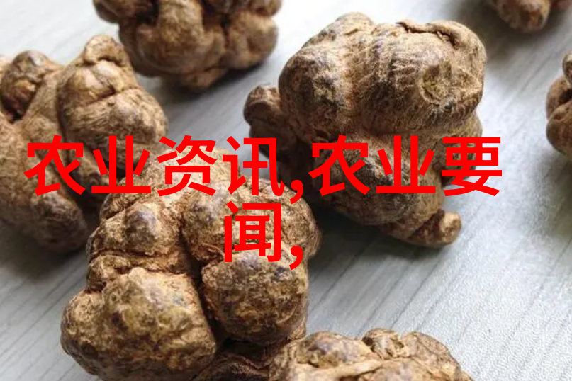 生物信息学在高效育种和品种选择中的作用深度剖析