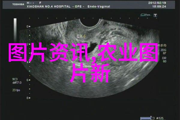 金蝉养殖技术全解从种植到繁育的精髓