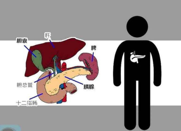 黄骨鱼养殖的新篇章帆布技术的应用与经济效益分析