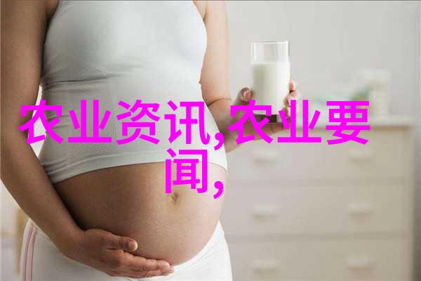 蔷薇花卉保养小技巧让它们绽放更久