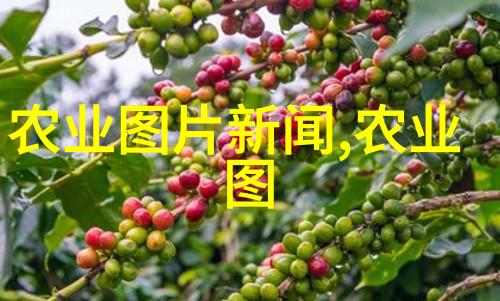 有关茶的资料我是如何从一名茶新手变成茶迷的