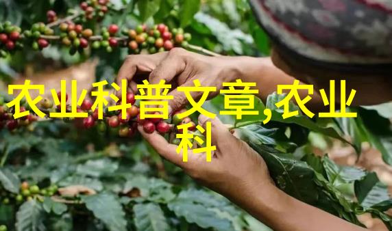 深入浅出中药材种植技术培训的必备知识