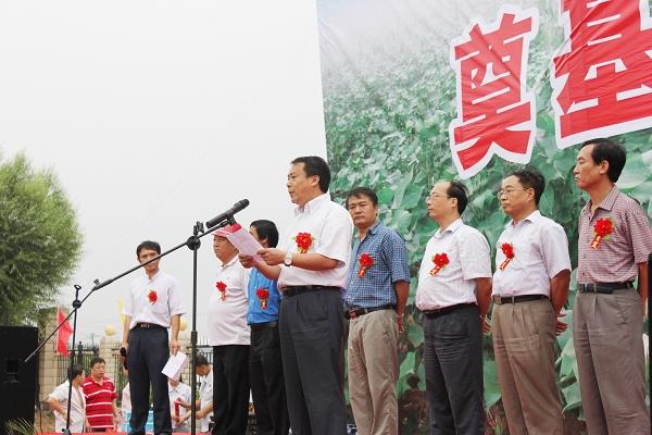 蜂蜜与梦想中蜂懒人的养蜂秘籍