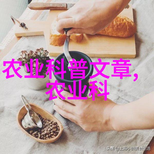 茶叶科普-品鉴之旅揭秘茶叶的种类与制作工艺