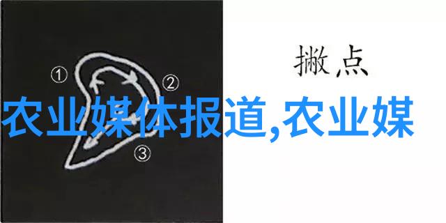 隐秘的法典2022民法典全文背后的未解之谜