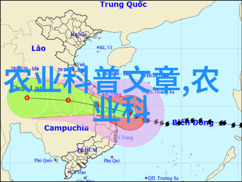 牛蛙养殖技术高效益蝌蚪养殖方法