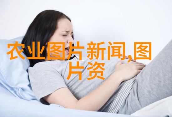 小狗健康守护如何增强猪群免疫力抗击疾病