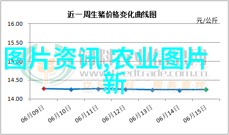 七英俊的创作之旅成就一番事业