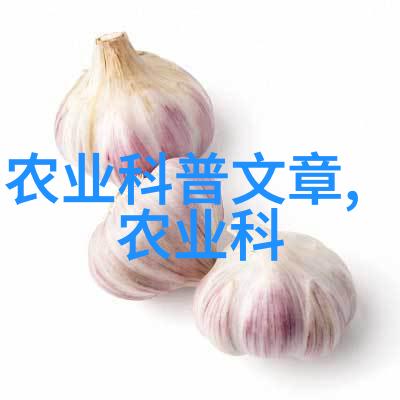 滑子菇的奇迹野生药材中的珍贵蘑菇