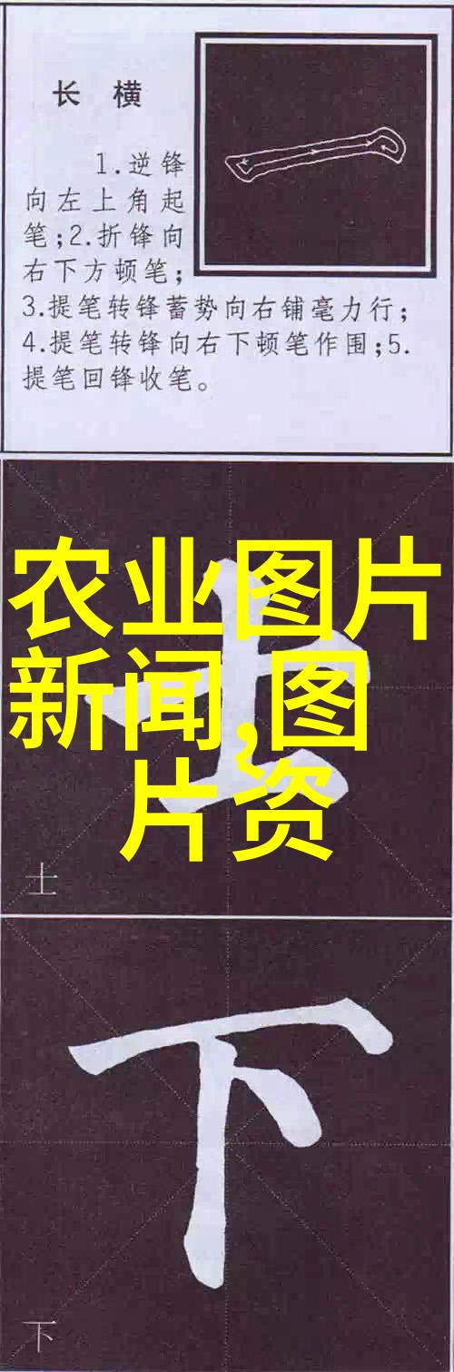 住房公积金缴纳政策筑梦楼阁稳固未来