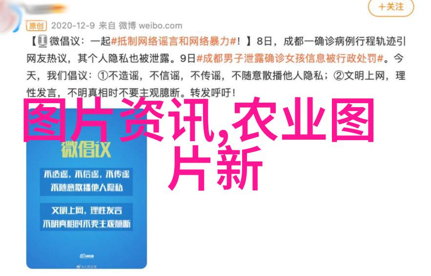 金钱龟养殖技术-精准饲养金钱龟的生长秘诀与营养管理