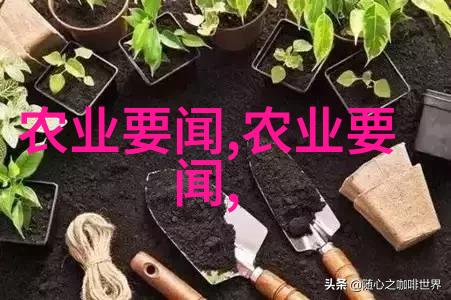 广东中药材种植基地的任丘又是怎样孕育而来的呢