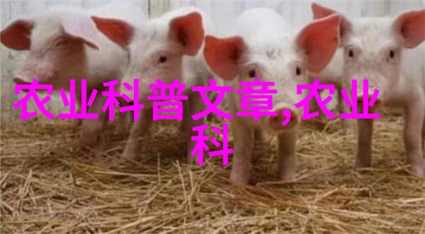 宠物piglet如何与大型家猪共存并保持健康