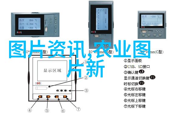 优化母猪养殖技术提高效率与增强繁育能力