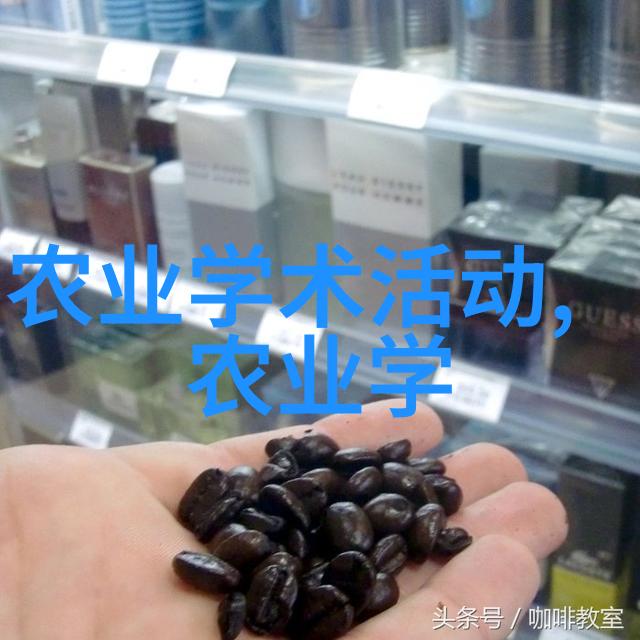 都市高楼之间的穿梭者升降机的秘密世界