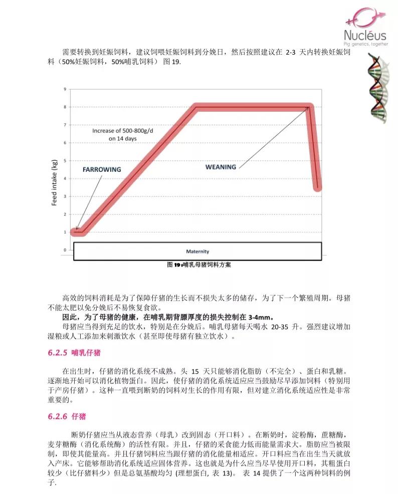 年轻继拇的无形成本免费与付出的哲学