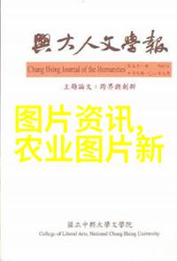 森林里的小精灵竹鼠养殖的智慧与魅力