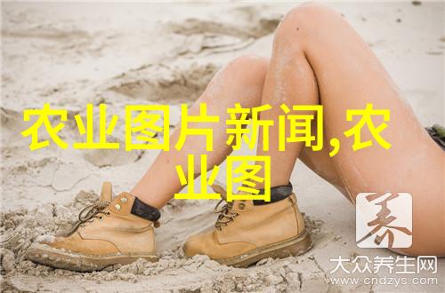 杨树的品种与12公分木瓜树价格在人物眼中的选择