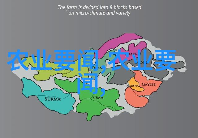 金钱龟繁殖技术掌握正确的繁殖方法和注意事项