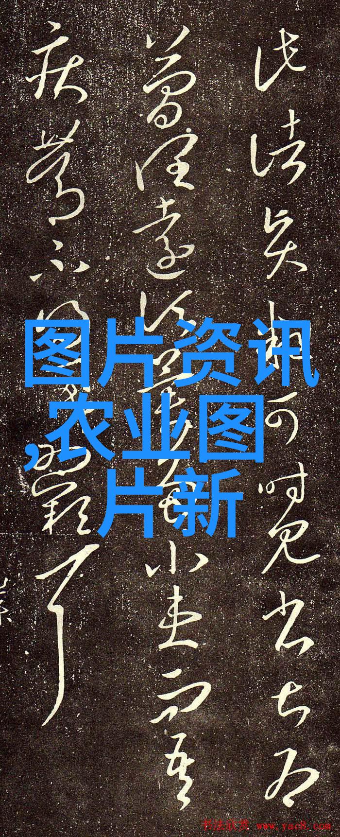 2022年肉牛价格走势分析市场供需政策调控与产地差异