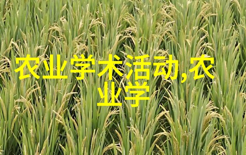 党内法规制定主体探究政党内部法律的源头追踪