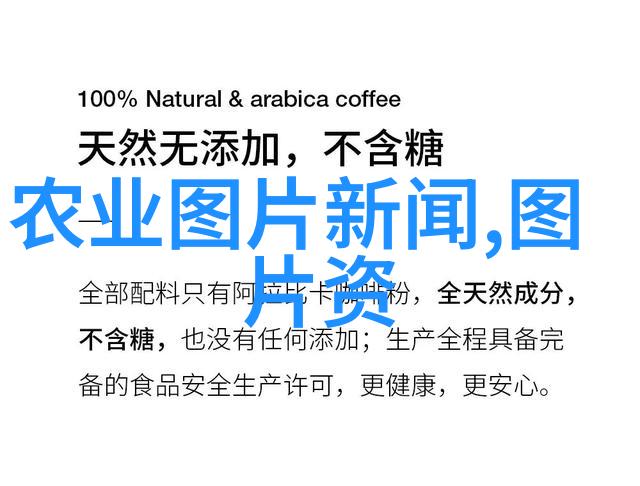 现代农业种植技术我是怎么学会的如何用科技让我的菜园子更丰收