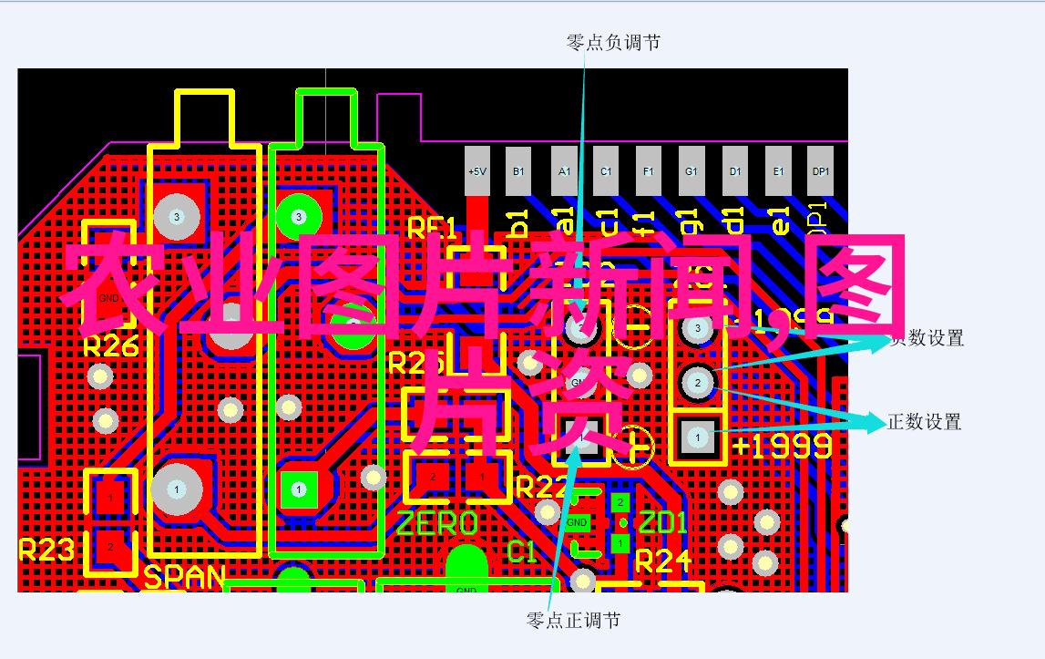 文章标题绿意盎然的选择苗木品种简介