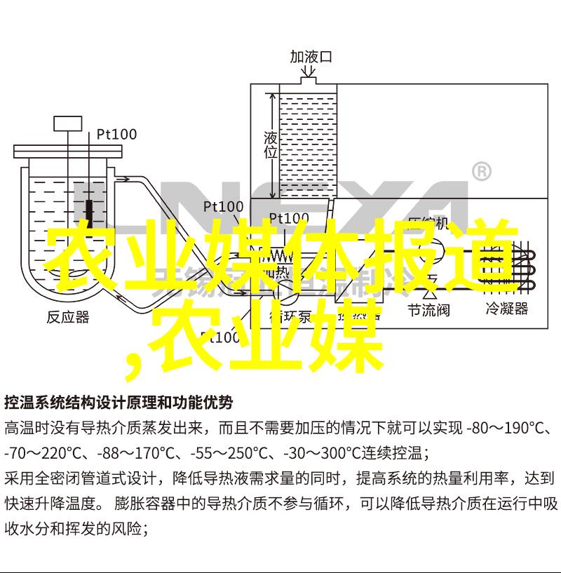 蜜蜂的双王繁殖技巧夏天养蜂必备方法与实用工具