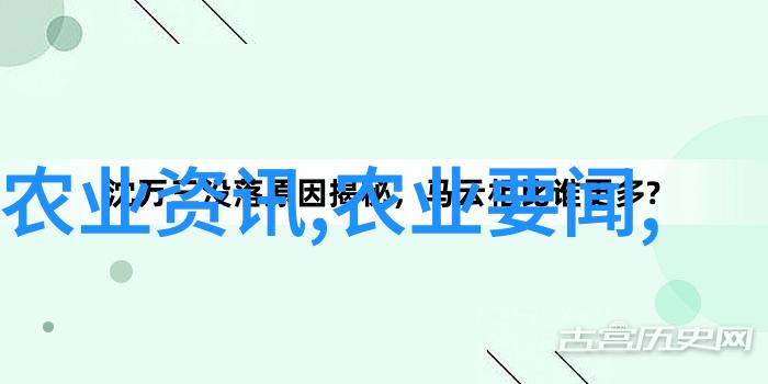 蝴蝶之梦揭秘哪里大量收购黄粉虫的秘密市场