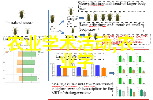 攀登至峡谷之巅探索深邃与壮丽的边缘