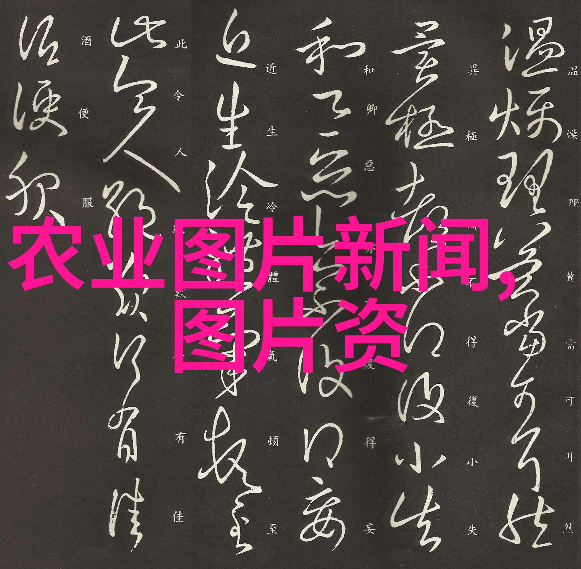 云南昆明鲜花批发市场来逛一逛吧看看有没有你心仪的花朵