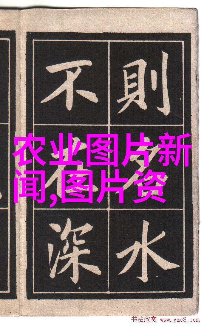 在日本文化中银杏与寿命和长寿有什么特殊联系吗