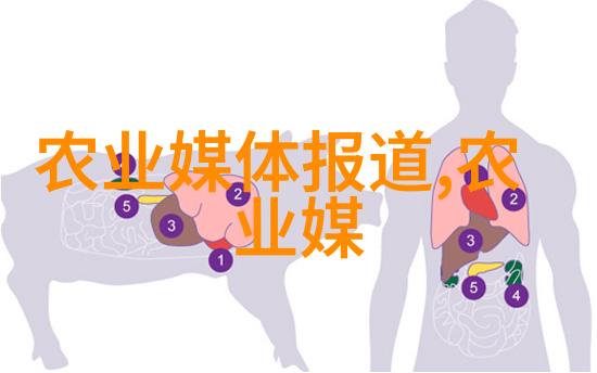 可以吗一个蜂箱养两群蜂是否可行