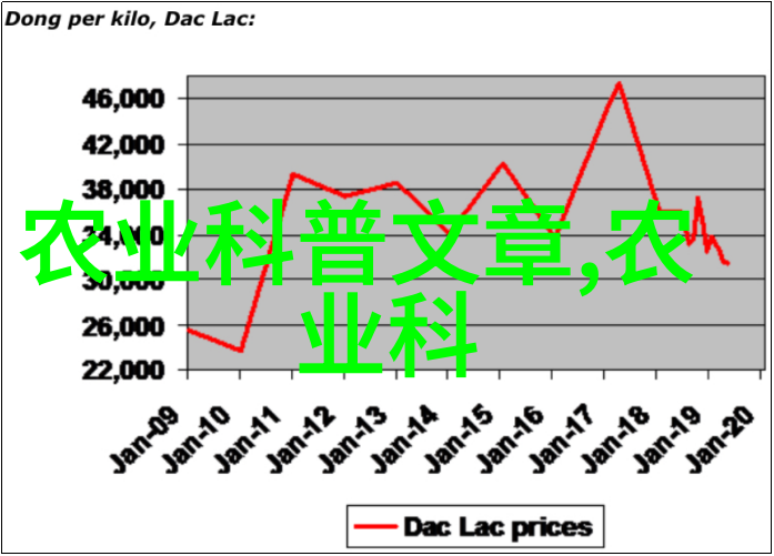 138大但人文艺术豆瓣我在豆瓣上发现了一个神奇的世界